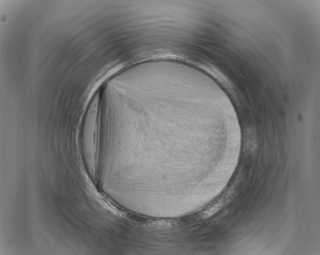 X0000061150806200512161554