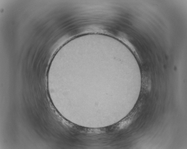 X0000061150807200512161554