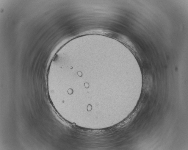 X0000061150808200512161554