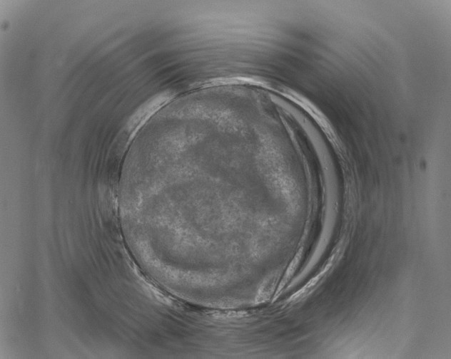 X0000061150809200512161554