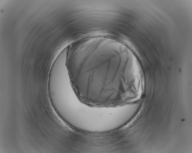 X0000061150810200512161554