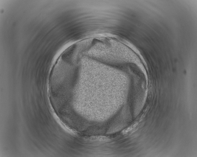 X0000061150811200512161554