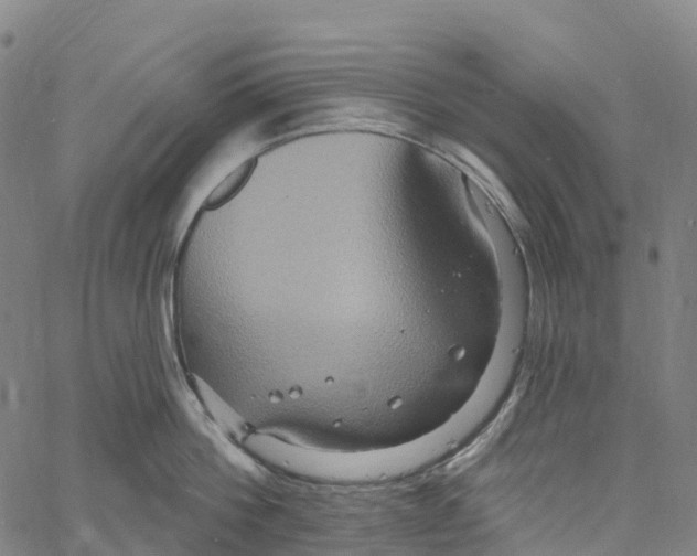 X0000061150812200512161554