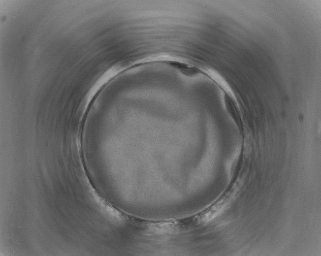 X0000061150813200512161554