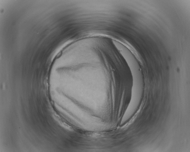 X0000061150814200512161554