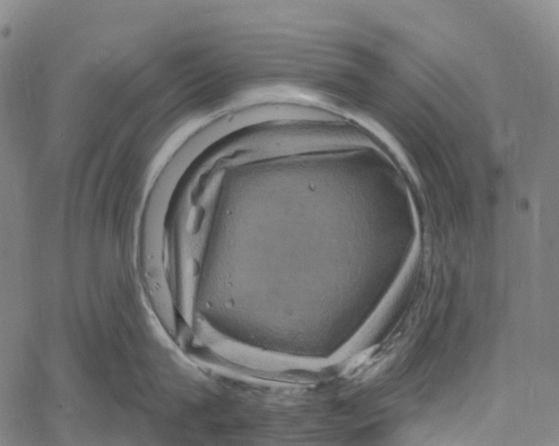 X0000061150815200512161554