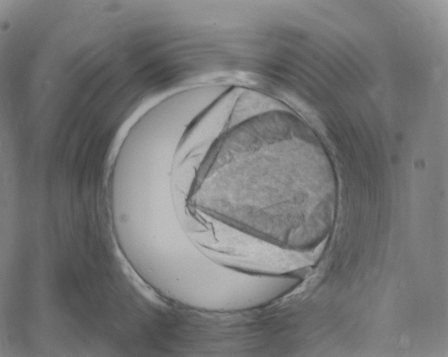 X0000061150816200512161554