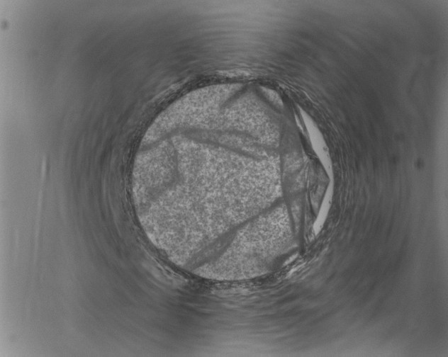 X0000061150817200512161553