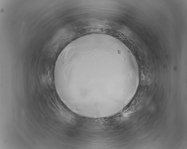 X0000061150820200512161553