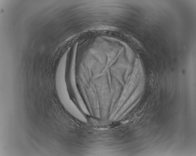 X0000061150821200512161553