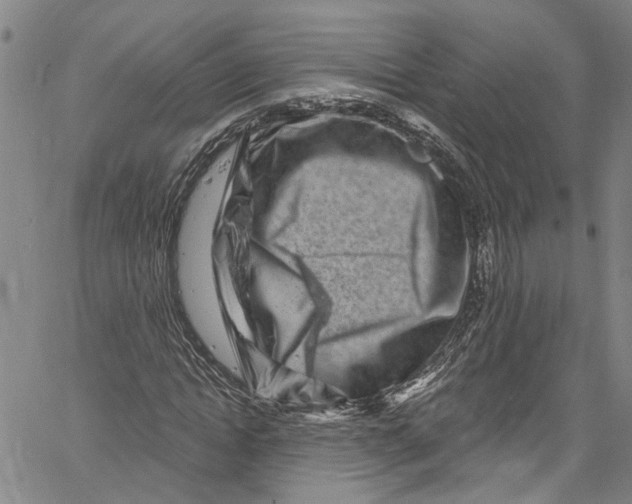 X0000061150822200512161553