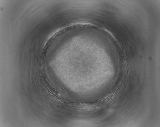 X0000061150823200512161553