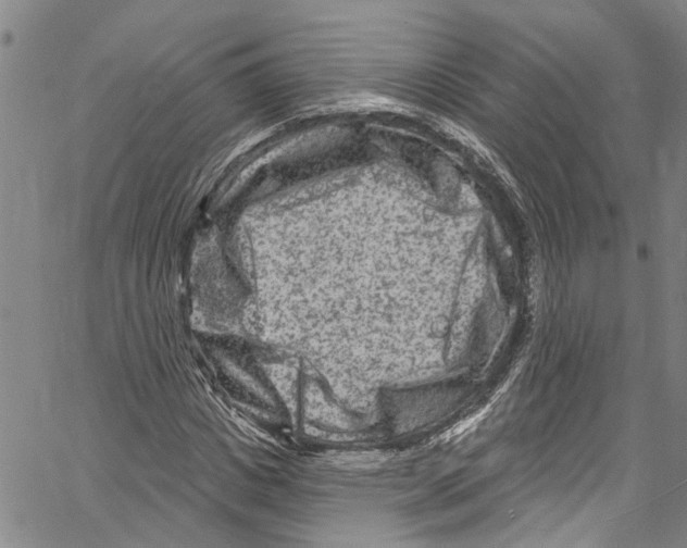 X0000061150825200512161553