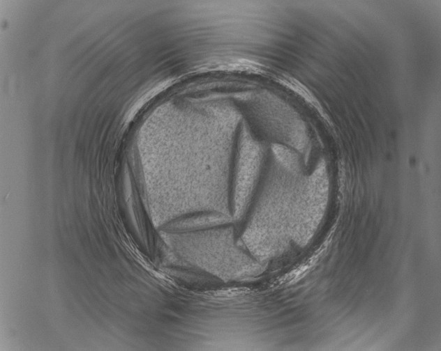 X0000061150826200512161553