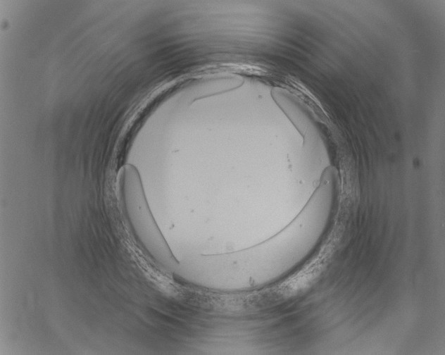 X0000061150828200512161553