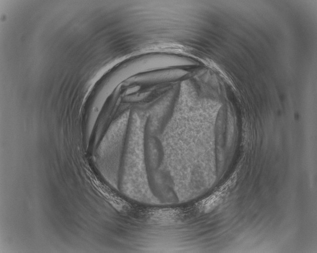 X0000061150830200512161553