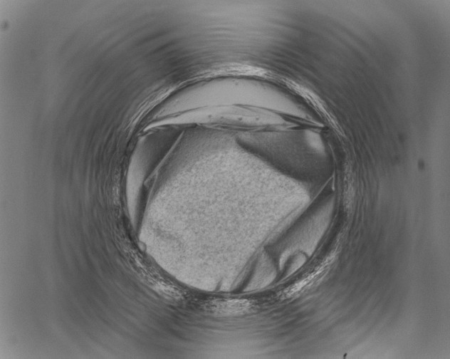 X0000061150833200512161553