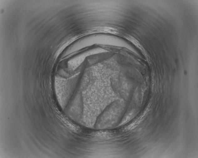 X0000061150834200512161553