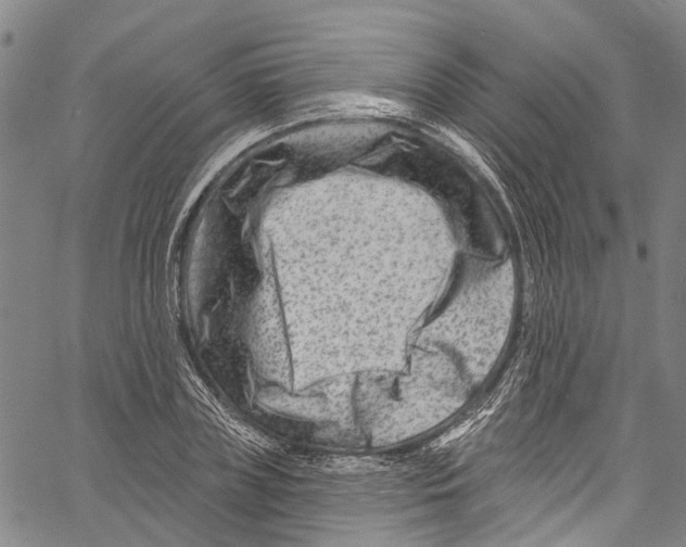 X0000061150835200512161553