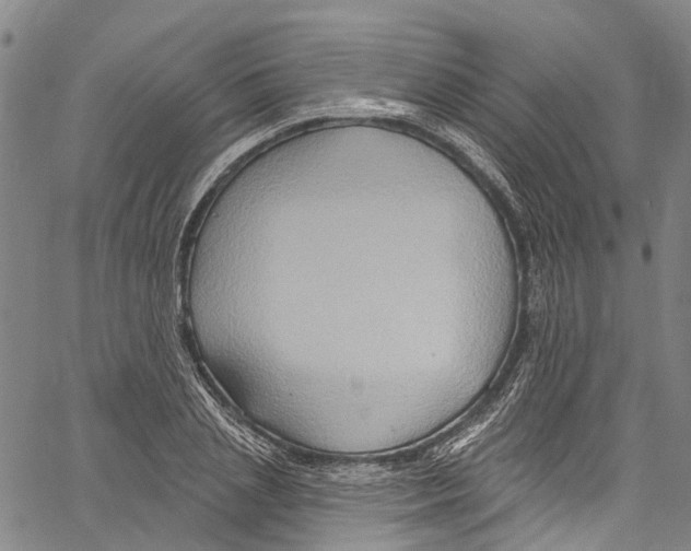 X0000061150837200512161553