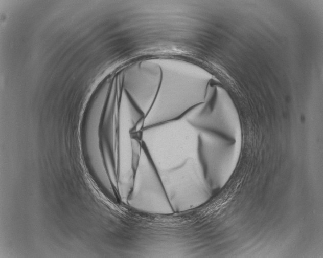 X0000061150840200512161553