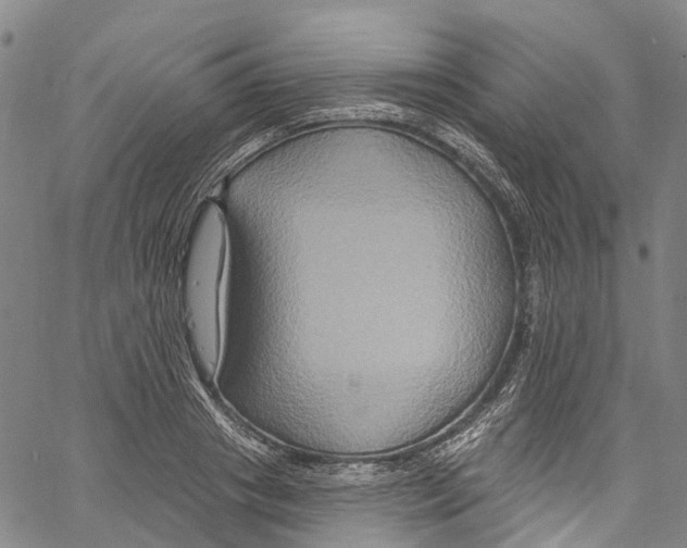 X0000061150841200512161553