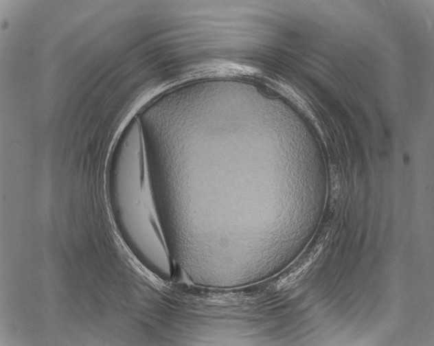 X0000061150843200512161553