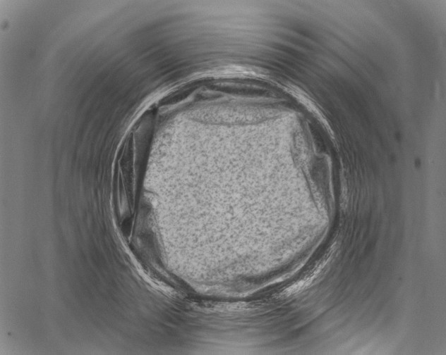 X0000061150845200512161553