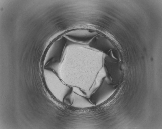 X0000061150846200512161553