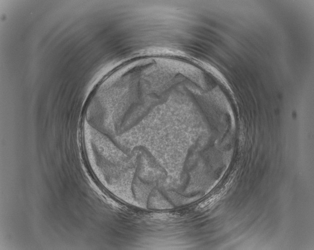 X0000061150847200512161553