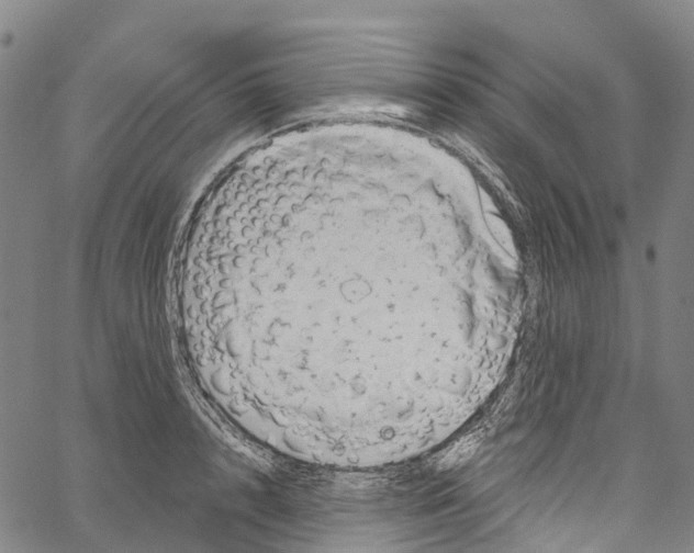 X0000061150848200512161553