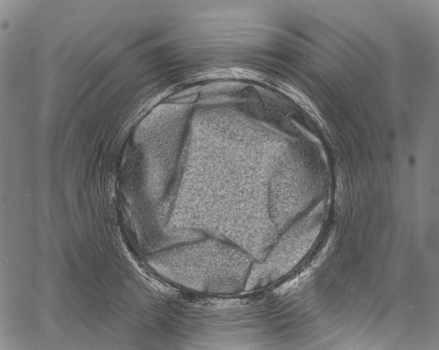 X0000061150849200512161553