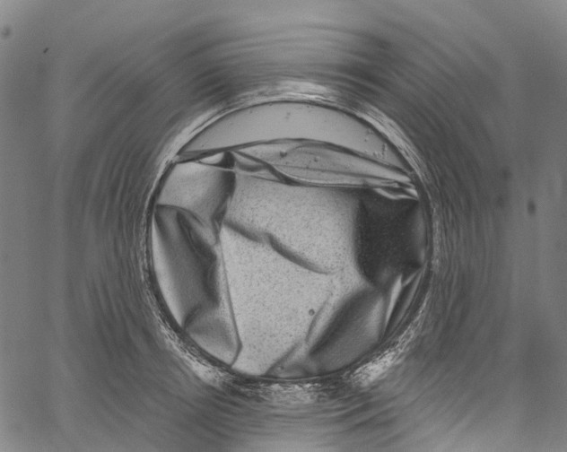 X0000061150850200512161553