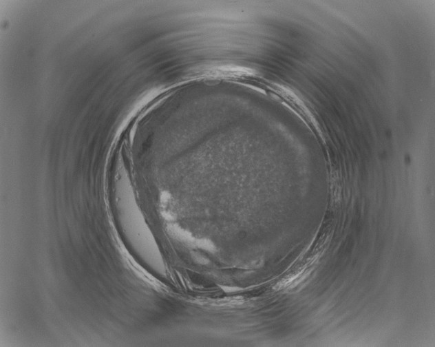 X0000061150851200512161553