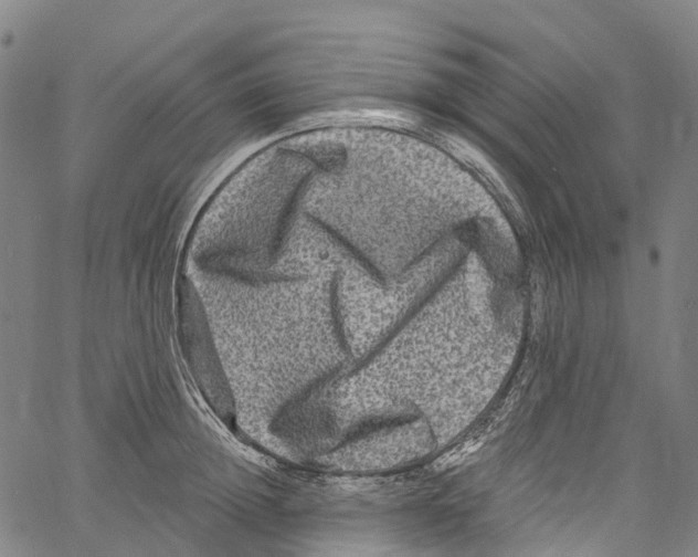 X0000061150852200512161553