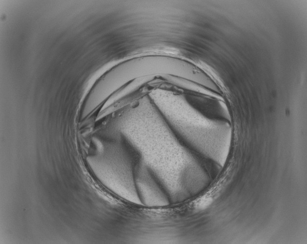 X0000061150854200512161553