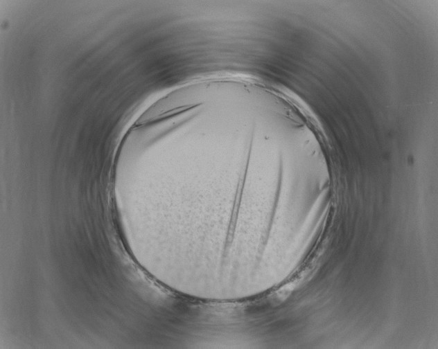 X0000061150860200512161554