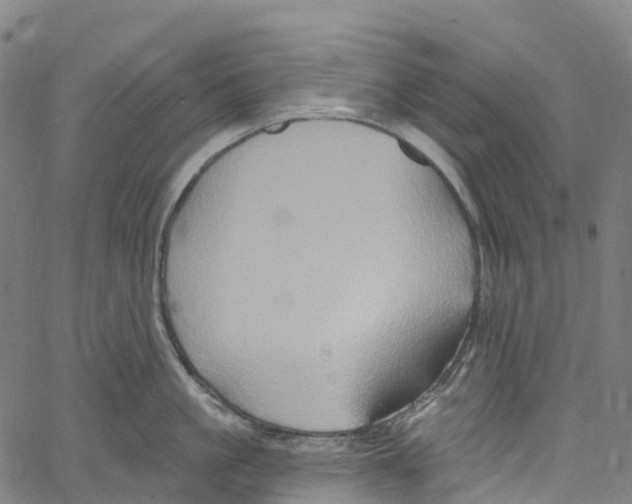 X0000061150861200512161554