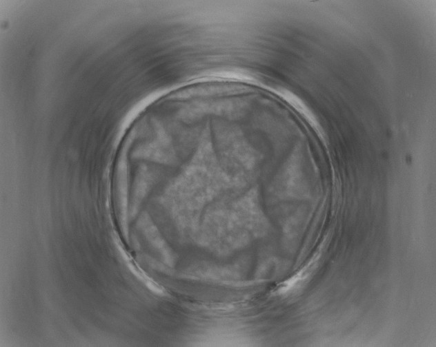 X0000061150862200512161554