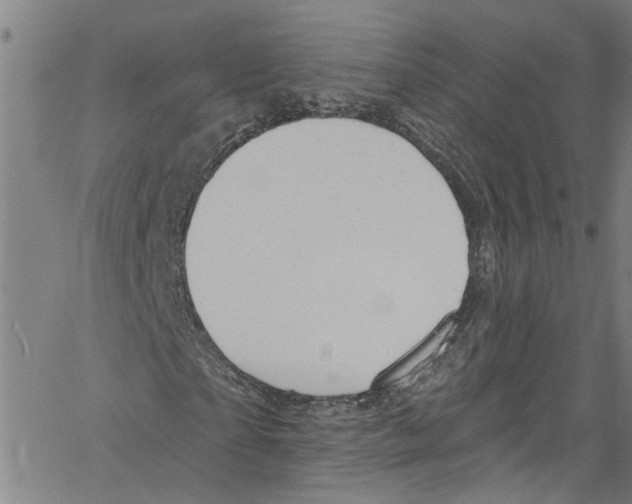 X0000061150865200512161553