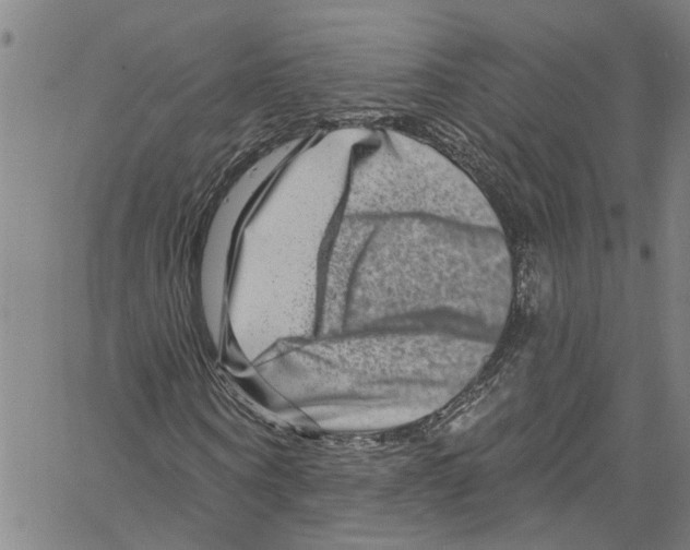 X0000061150866200512161553