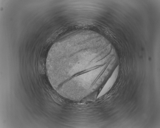 X0000061150868200512161553