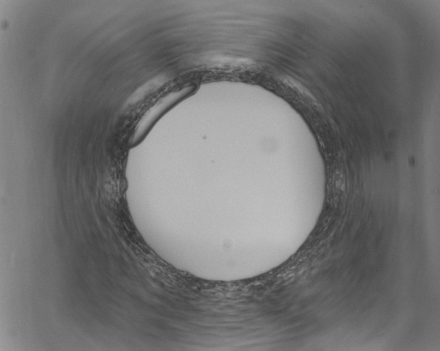 X0000061150869200512161553