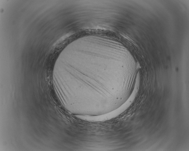 X0000061150870200512161553