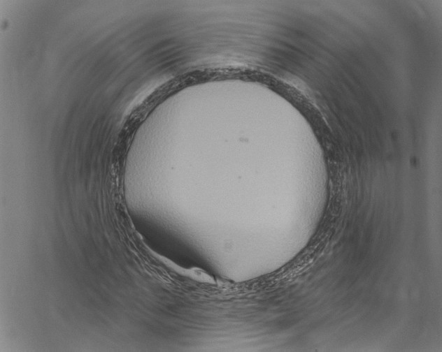 X0000061150871200512161553