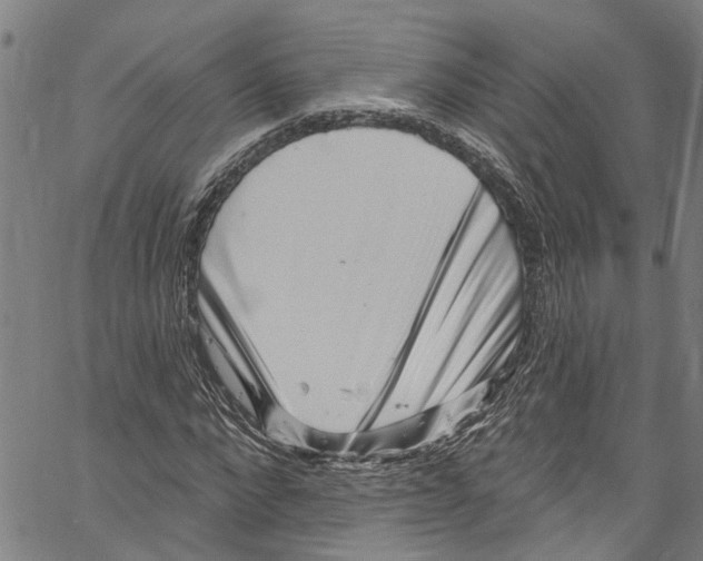 X0000061150872200512161553