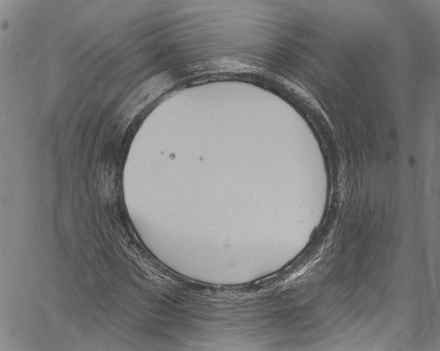 X0000061150873200512161553