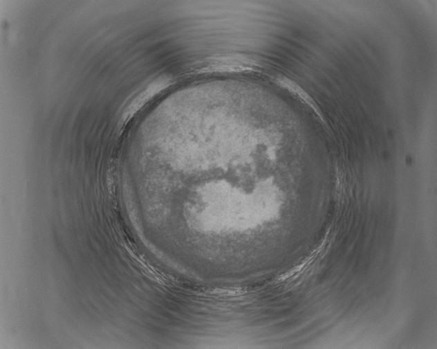 X0000061150874200512161553