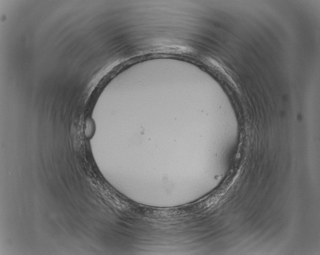 X0000061150875200512161553