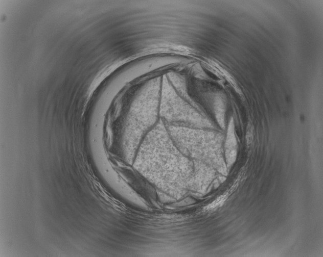 X0000061150877200512161553